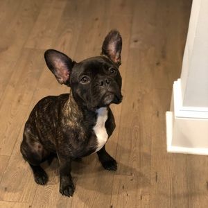 Meet your Posher, Elizabeth